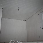 20131003_DOG_05