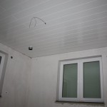 20131003_DOG_06