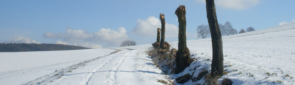 Waldhessen