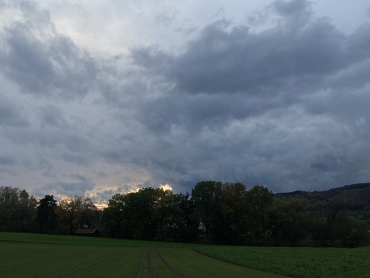 Die Zeit rennt und Bürlis zum Frühstück