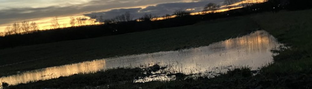 Hütti.de